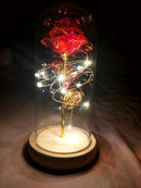 Rosa Brilhante Encantada™