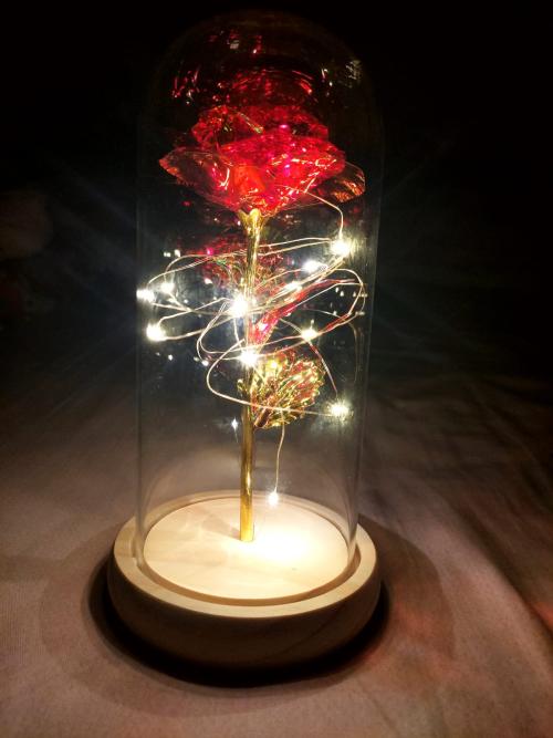 Rosa Brilhante Encantada™