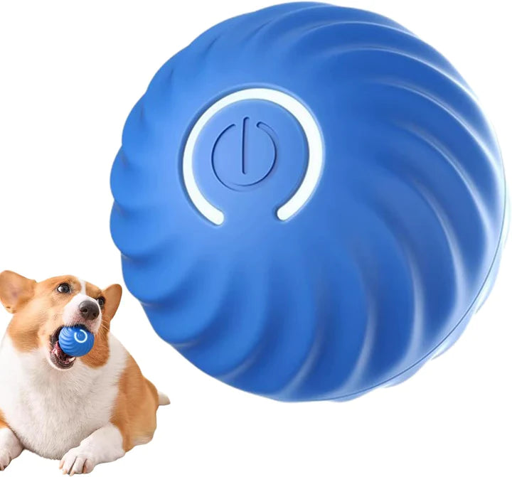 bola para pet que rolam automaticamete  BOUNCEE BUDDYY