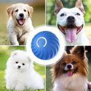 bola para pet que rolam automaticamete  BOUNCEE BUDDYY