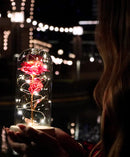 Rosa Brilhante Encantada™