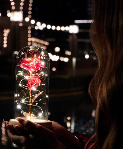 Rosa Brilhante Encantada™