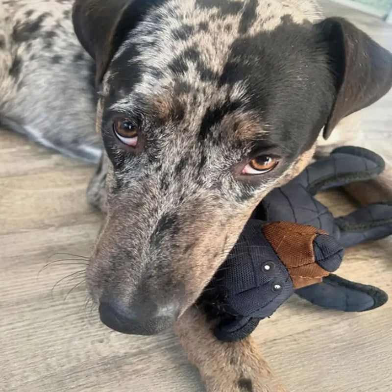 UrsoMax™2025 brinquedo para cães