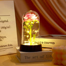 Rosa Brilhante Encantada™