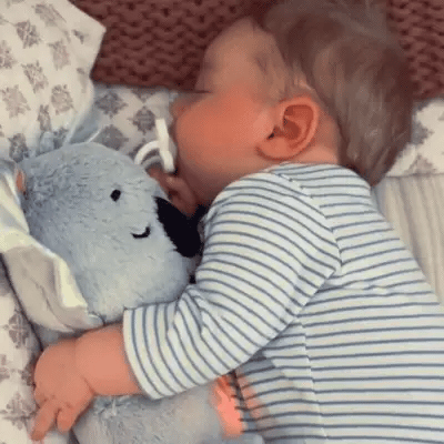 Koala Sonolento™  para ajudar a aliviar a ansiedade, com respiração, batimentos cardíacos e luz